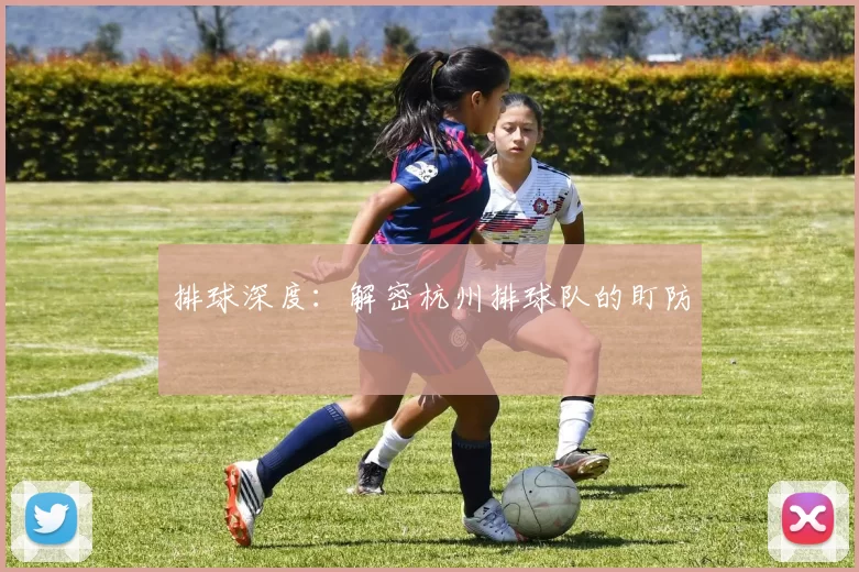排球深度：解密杭州排球队的盯防