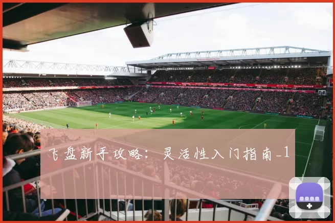 飞盘新手攻略：灵活性入门指南_1