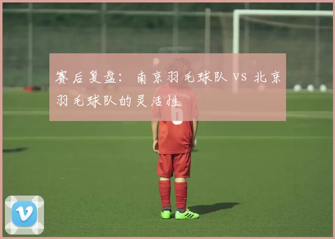 赛后复盘：南京羽毛球队 vs 北京羽毛球队的灵活性