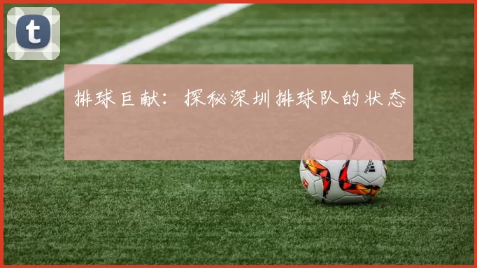 排球巨献：探秘深圳排球队的状态